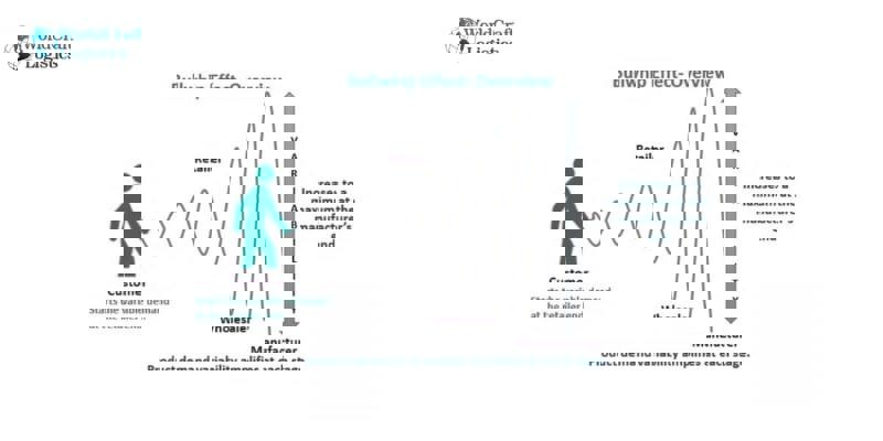 What is bullwhip effect in supply chain management?