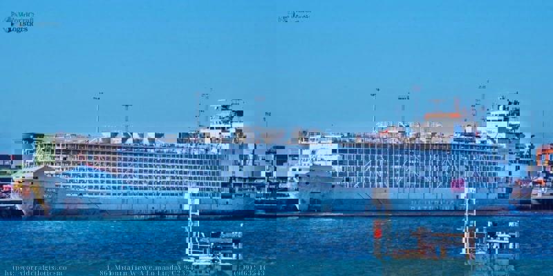 Livestock carrier ships