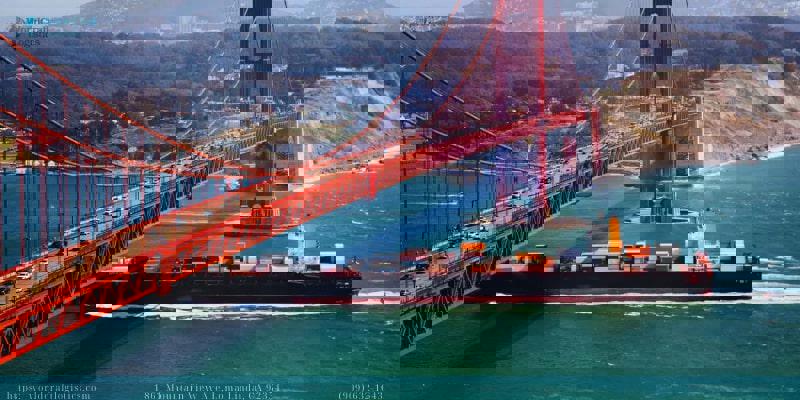 How do refrigerated cargo ships assist in the transportation of perishable goods