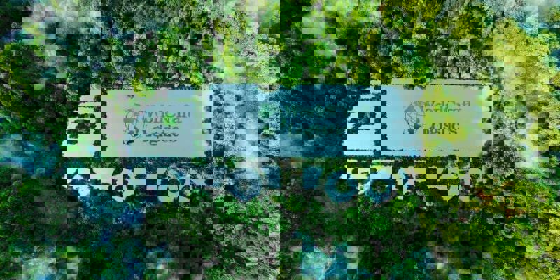 The golden status of the Green Logistics campaign