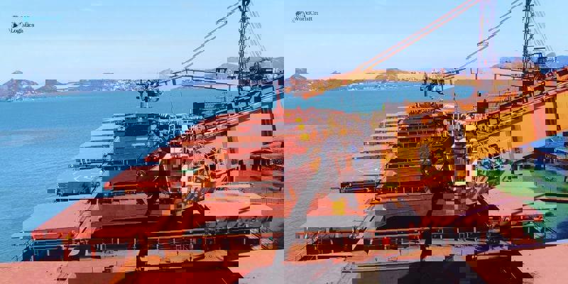 Bulk Cargo: What is it