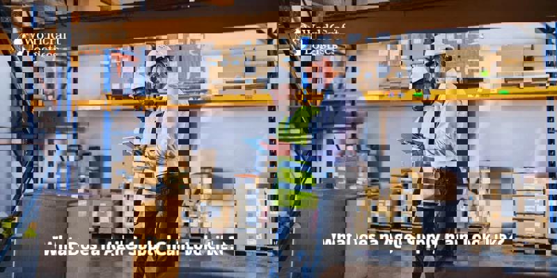 What Does an Agile Supply Chain Look Like?