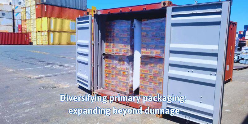 Diversifying primary packaging: expanding beyond dunnage