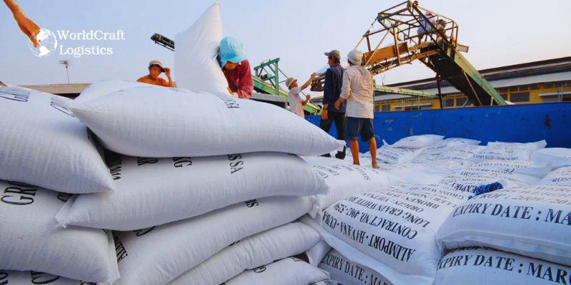 Transporting tons of rice onto ships for export to the US