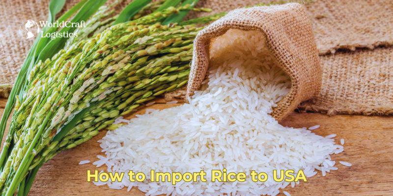 How to Import Rice to USA