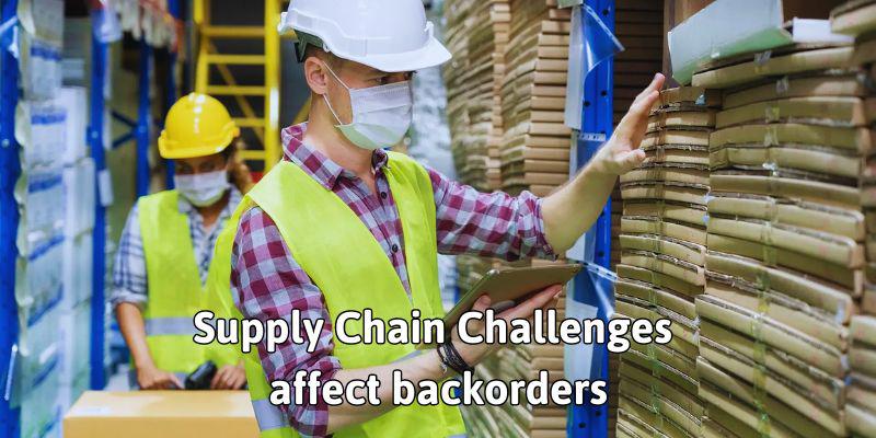 Supply Chain Challenges  affect backorders