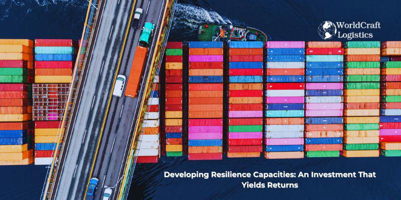 Developing Resilience Capacities: An Investment That Yields Returns