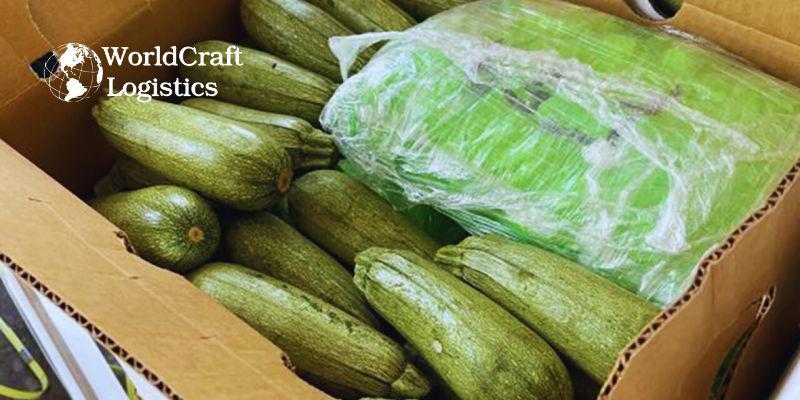 CBP Seizes $18 Million Worth of Meth Hidden in Squash Shipment