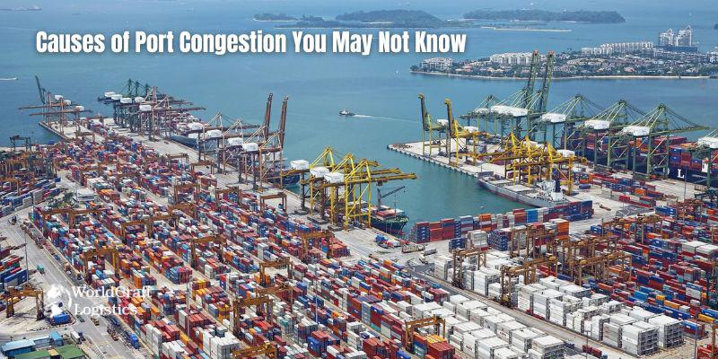 Causes of Port Congestion You May Not Know