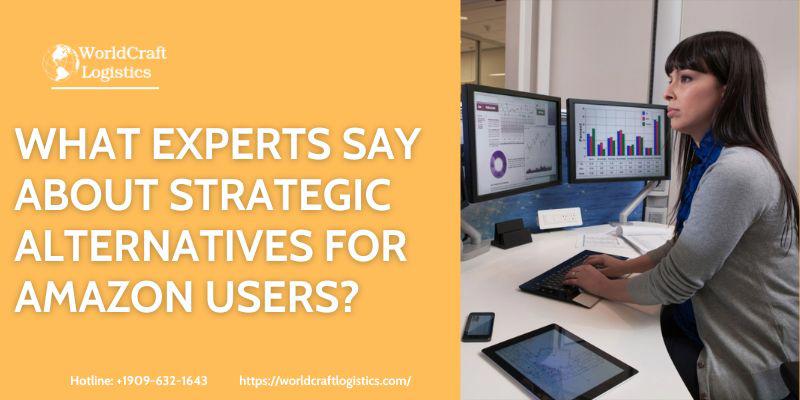 What Experts Say About Strategic Alternatives for Amazon Users