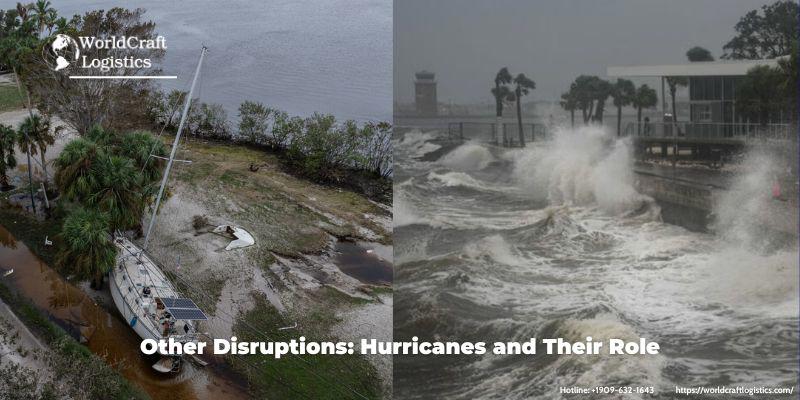 Other Disruptions: Hurricanes and Their Role
