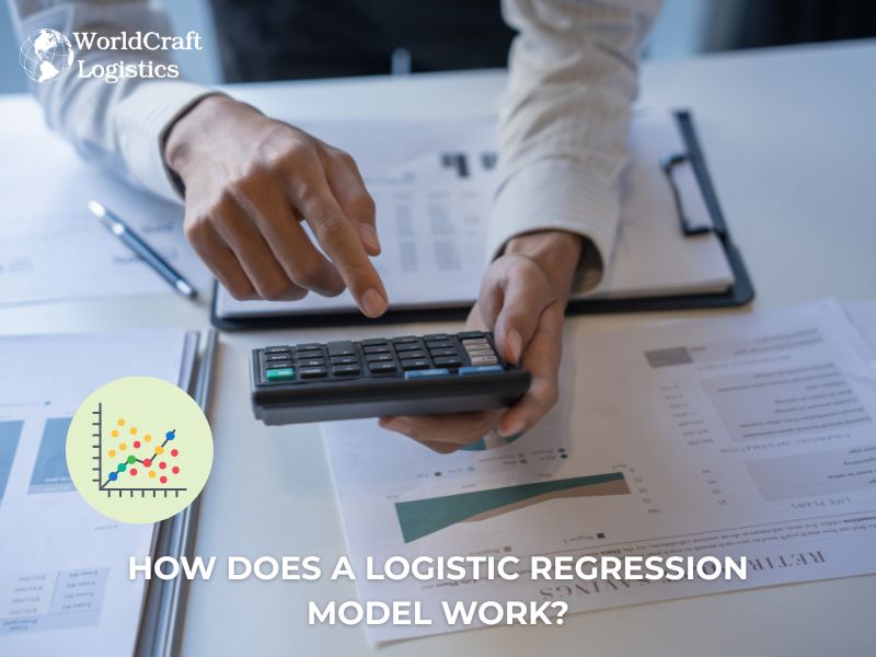 How Does a Logistic Regression Model Work?