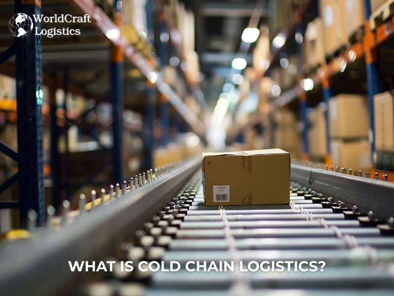 What is Cold Chain Logistics?