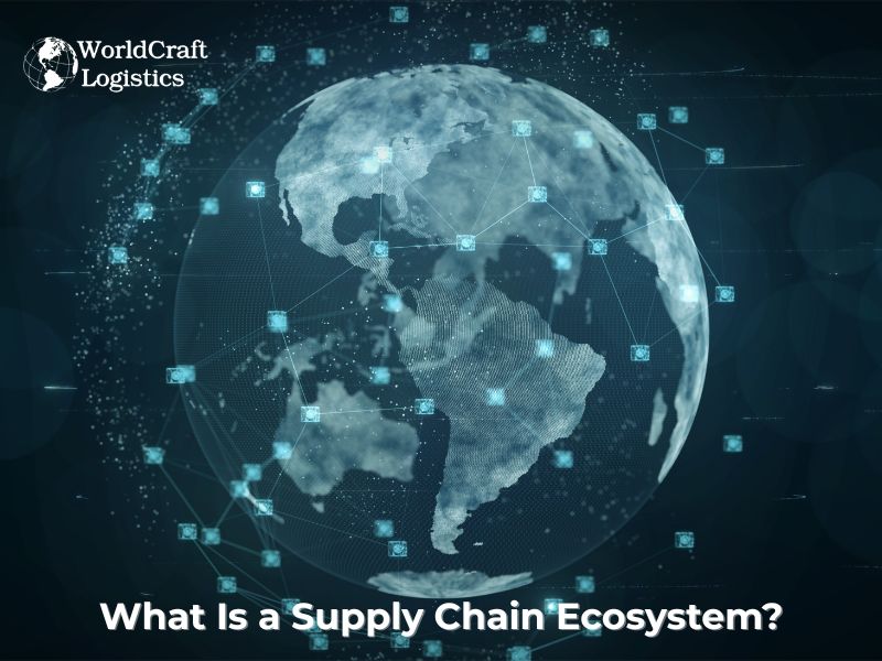 What Is a Supply Chain Ecosystem?