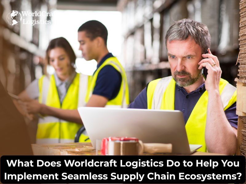 What Does Worldcraft Logistics Do to Help You Implement Seamless Supply Chain Ecosystems?