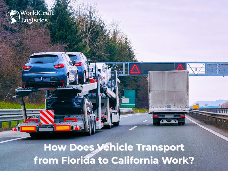 How Does Vehicle Transport from Florida to California Work?
